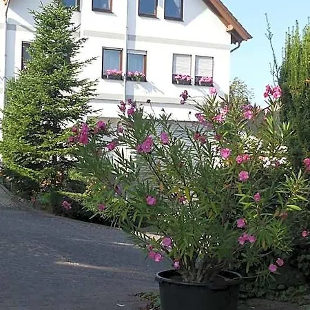 Hotell Janssen Bodenheim
