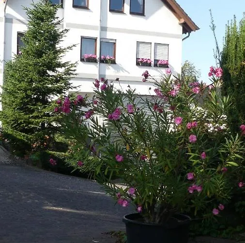 Hotel Janssen Bodenheim